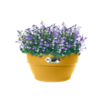 vibia campana schale 27cm honig gelb